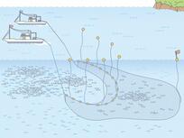 イラスト：機船船びき網漁業