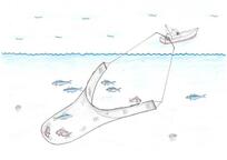 イラスト：ごち網漁業