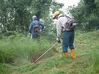 写真：荒滝山草刈り1