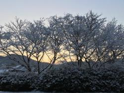 写真：小野冬の風景5