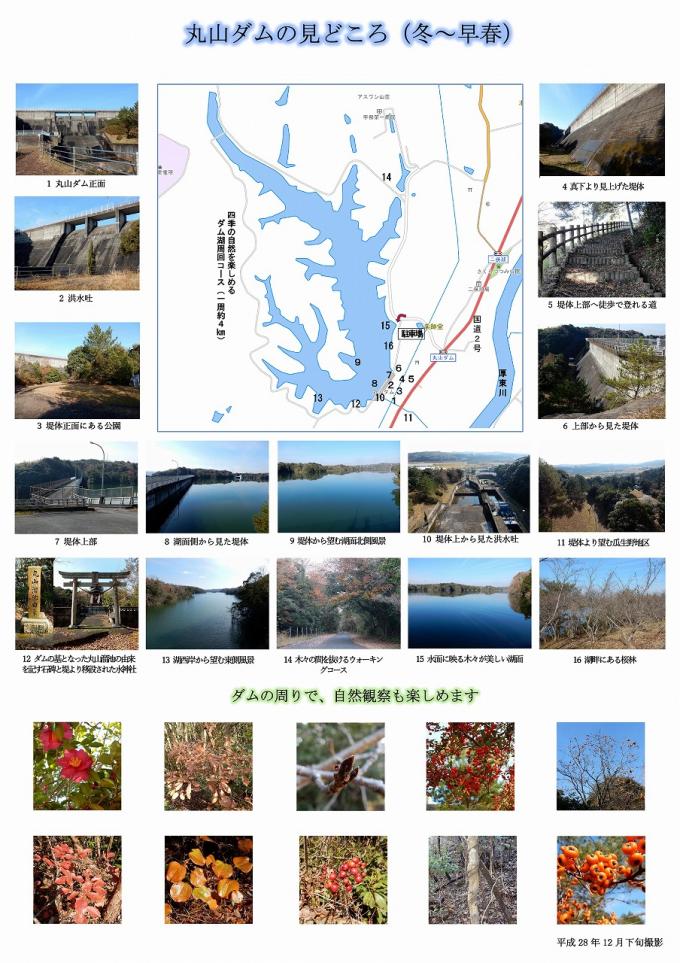 写真：丸山ダムの見どころ（冬～早春）