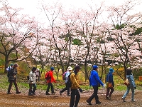 写真：今富ダム