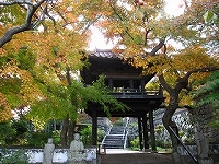 写真：来迎寺