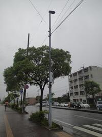 写真：鶴谷秀電社様がスポンサーとなっている道路照明