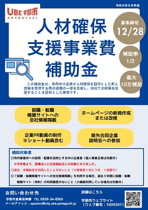 補助金チラシ