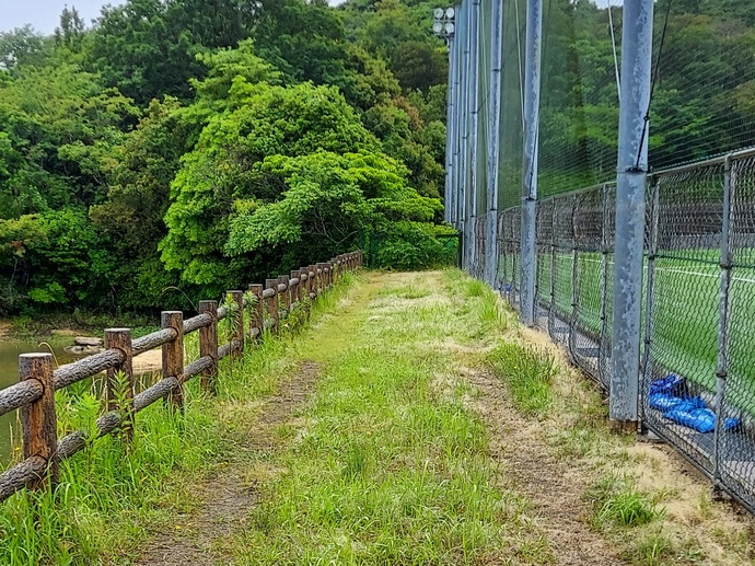 駆除後の状況