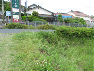 R5駆除後の状況