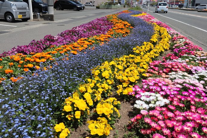 花づくりの達人の部　宇部日報社賞