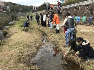 写真：沢波川でのホタルの生息環境学習の様子