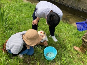 捕まえた魚を観察する子供
