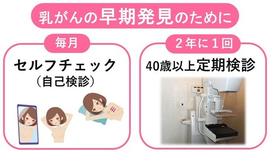 乳がんの早期発見のために　毎月のセルフチェックと2年に1回の検診を受けましょう