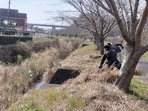 草刈の様子