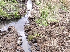 整備後の川の様子