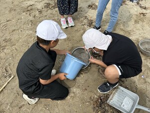 海岸でごみの仕分けをしている様子