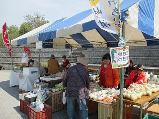 お茶まつり写真（3）