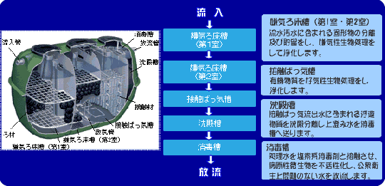 浄化槽の構造イラスト