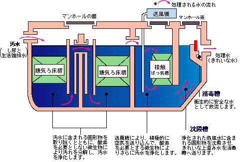 浄化槽の処理過程イラスト