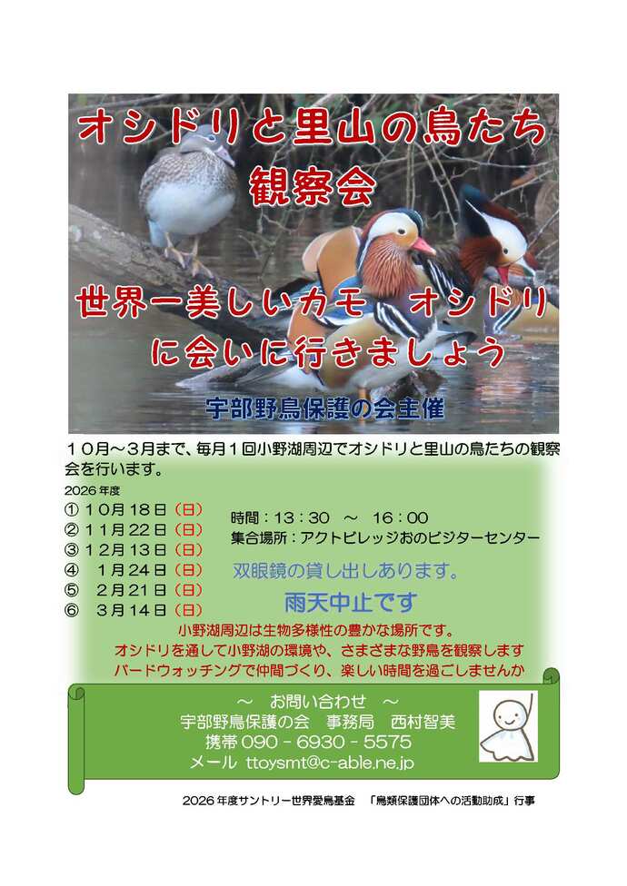2026オシドリ観察会チラシ