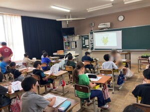 見初小緑のカーテン2