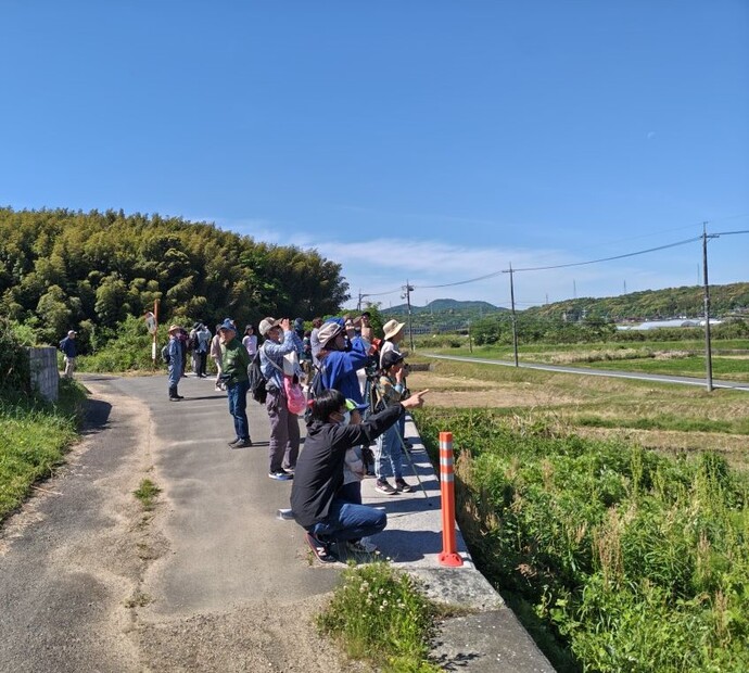野鳥観察