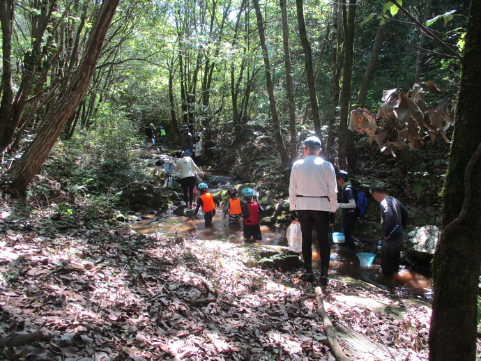 田植え