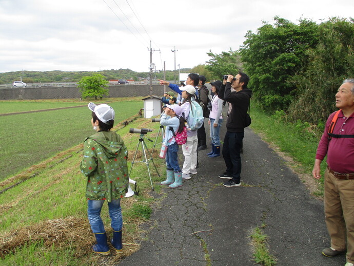 野鳥観察