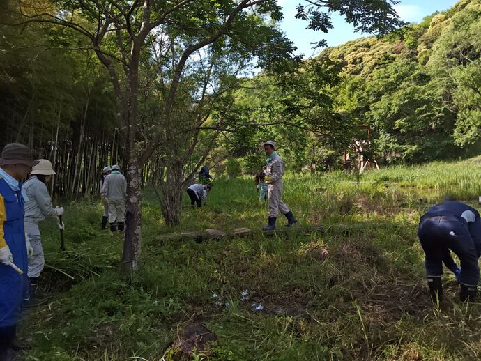 活動写真(1)