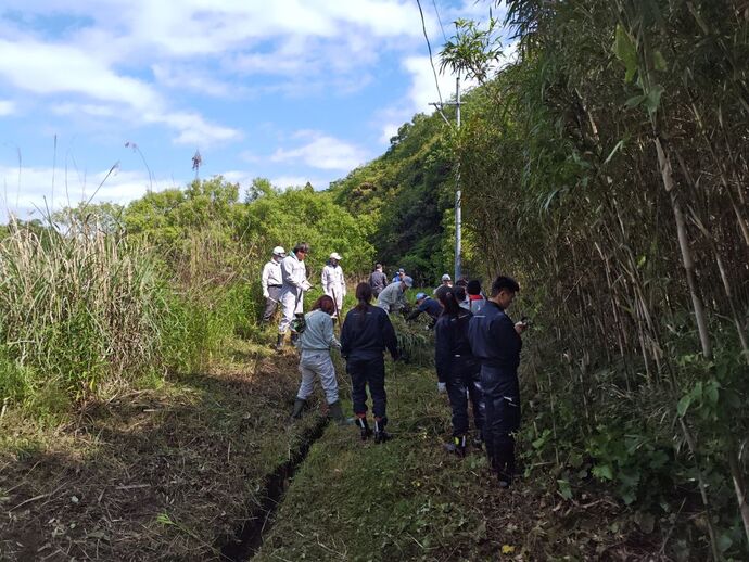 活動写真(4)