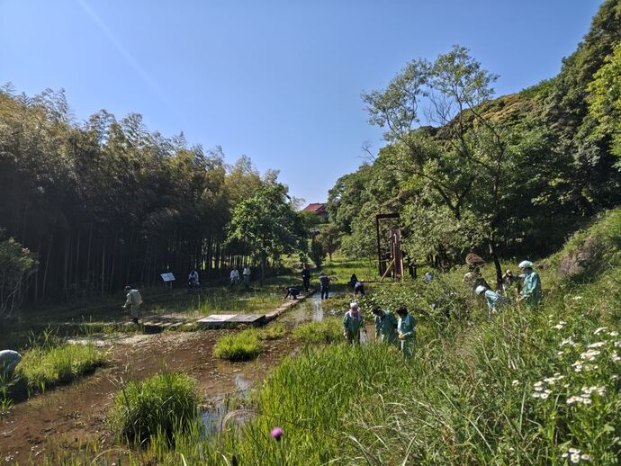 活動写真(7)