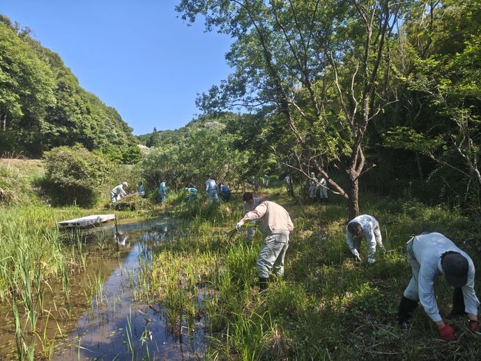 活動写真(10)
