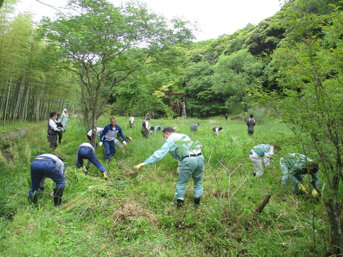 活動写真（1）