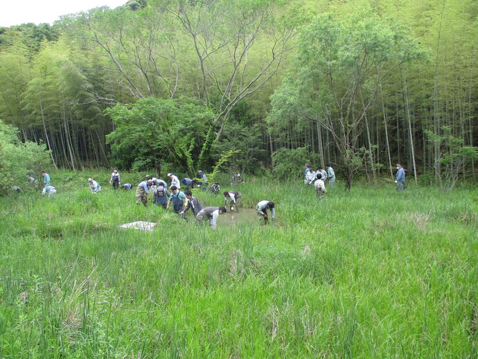 活動写真（2）