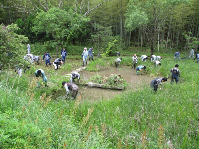 活動写真（3）