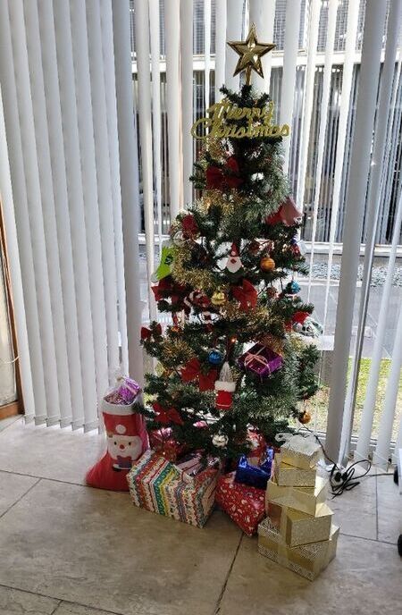 クリスマス展示