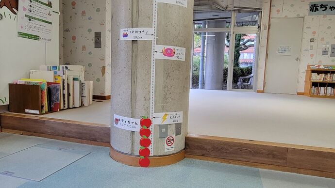 写真：身長測定