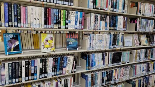 写真：蔵書点検