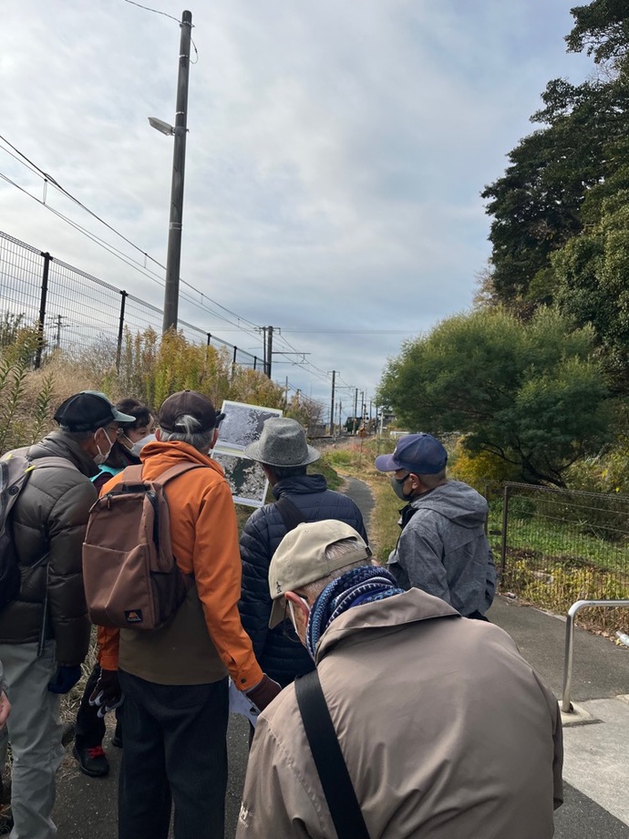 ウオーキング草江