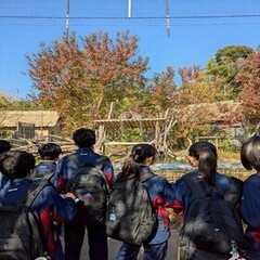 常盤中ときわ動物園1