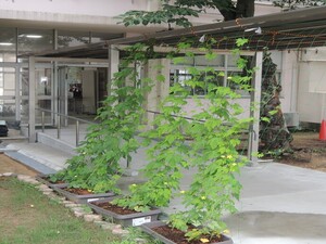 神原小渡り廊下