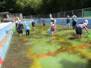 厚東小なかなかヤゴが見つかりません