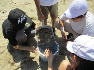 常盤小常盤海岸