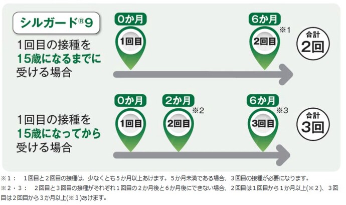 一般的な接種スケジュール
