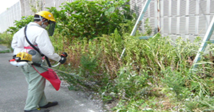 構内除草
