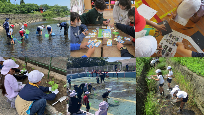 環境学習の様子
