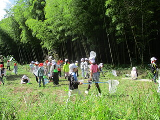 川上小 里山ビオトープ二俣瀬