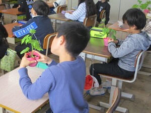 琴芝小ゴーヤ苗を観察する児童