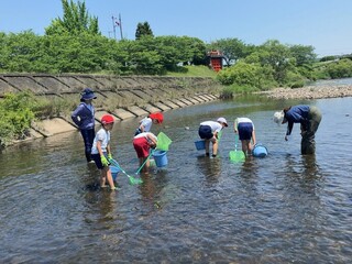 二俣瀬小 厚東川