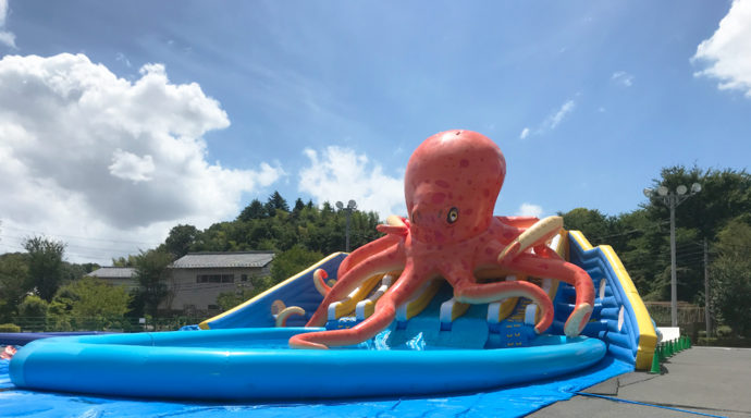 巨大オクトパスプール